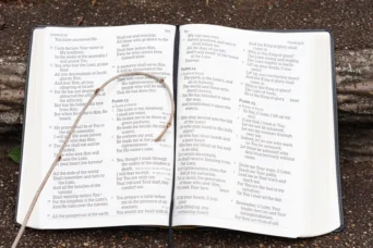 holy bible small staff psalm